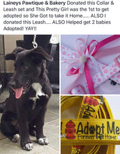 Laineys Shelter Babies Project Ribbons for Donation